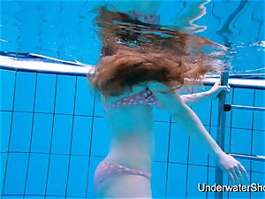 splendid nymph displays spectacular assets underwater